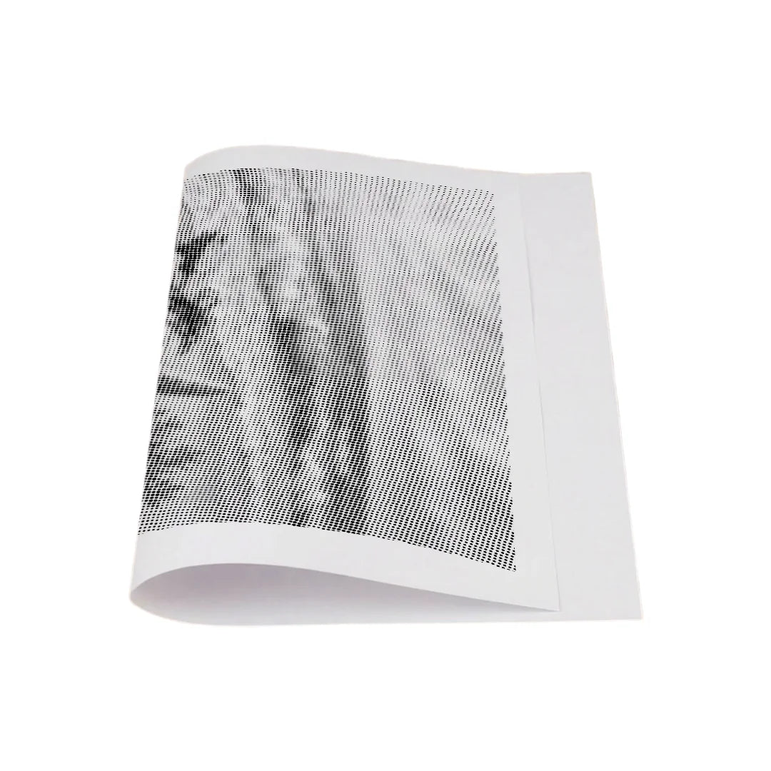 Conchiglie sulla spiaggia Dot Painting