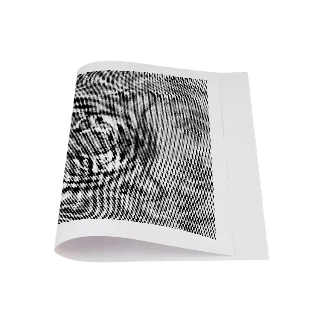 Tigre sui fiori Dot Painting
