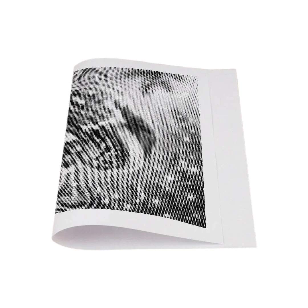 Pittura a pois di gatto di Natale