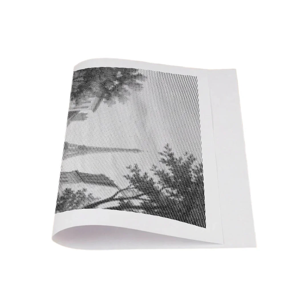 Vecchio scarabeo nella pittura a punti di Parigi