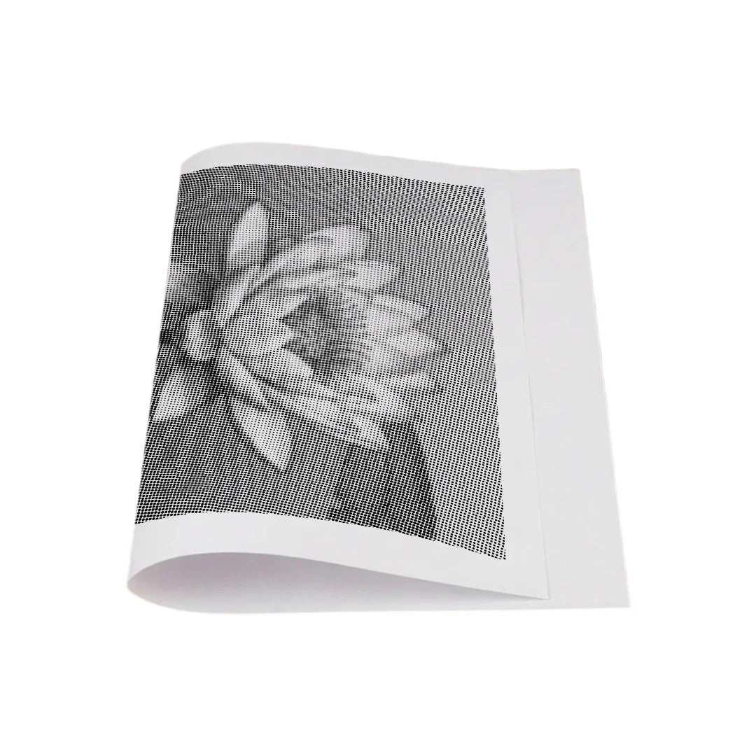 Ninfea sul dipinto a punti d'acqua