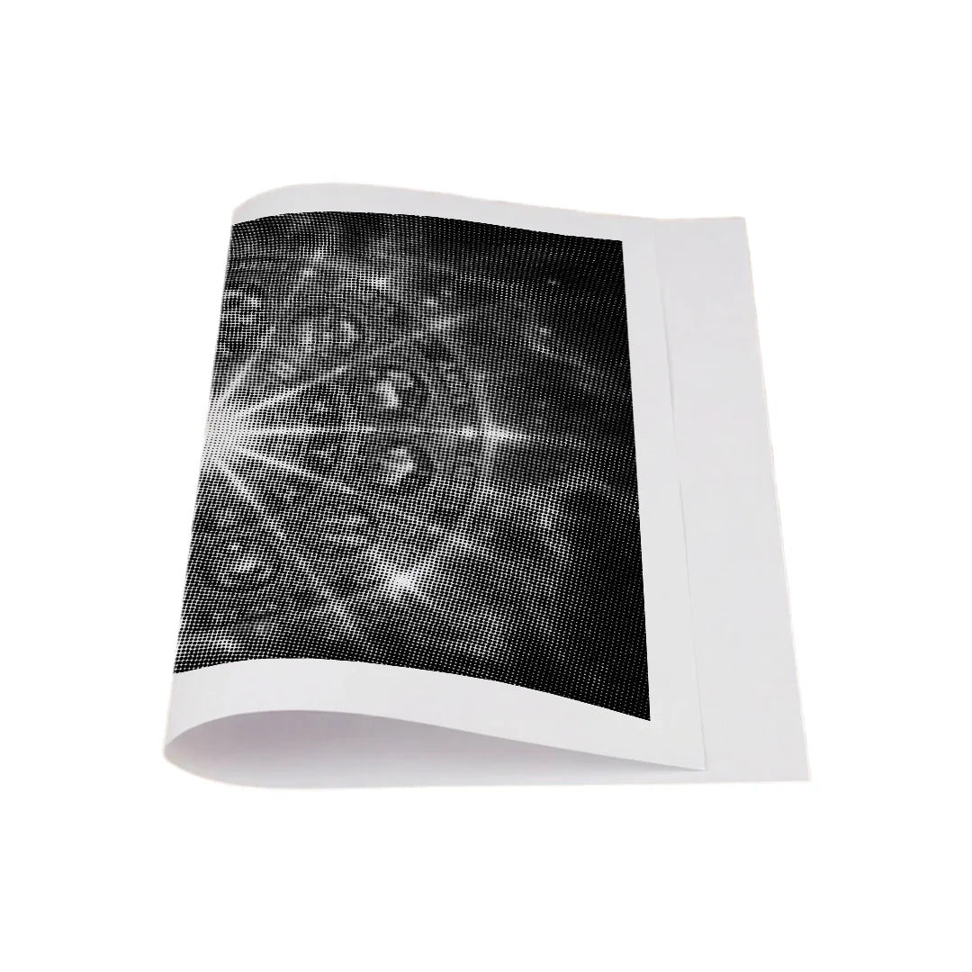 Pittura del punto dello zodiaco