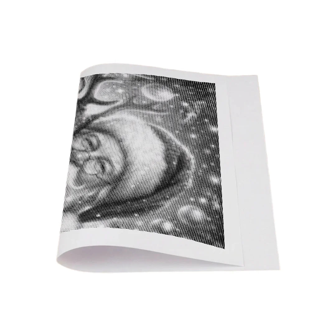 Babbo Natale con renna 2 punti pittura