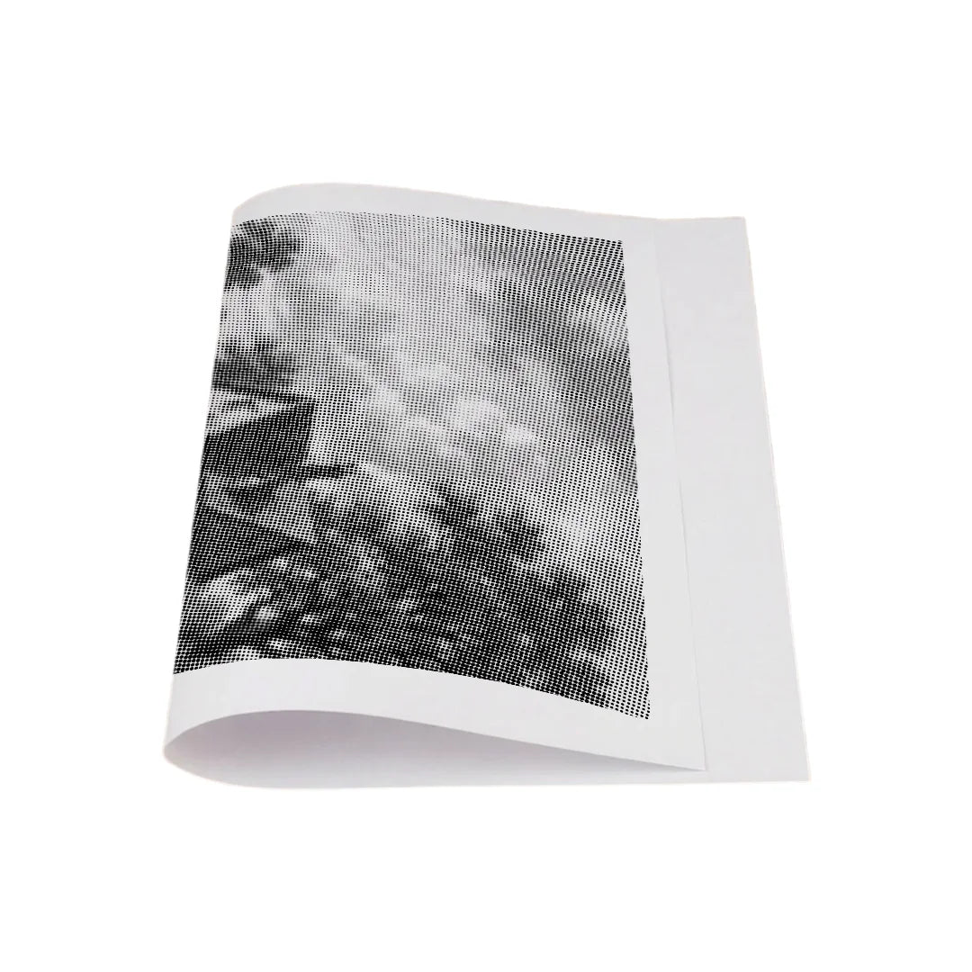 Casa sulla brughiera Dot Painting