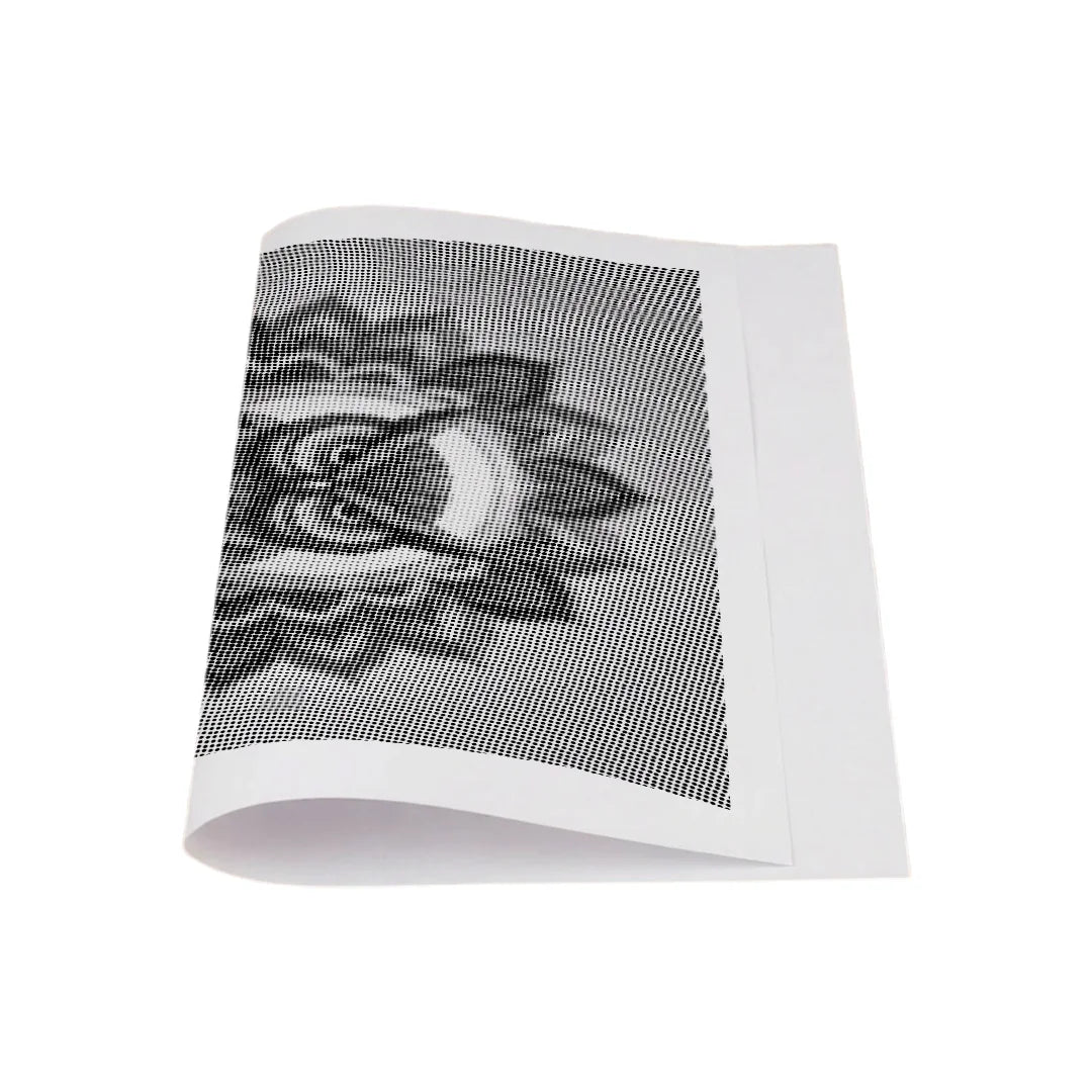 Gufo Mandala 3 punti pittura