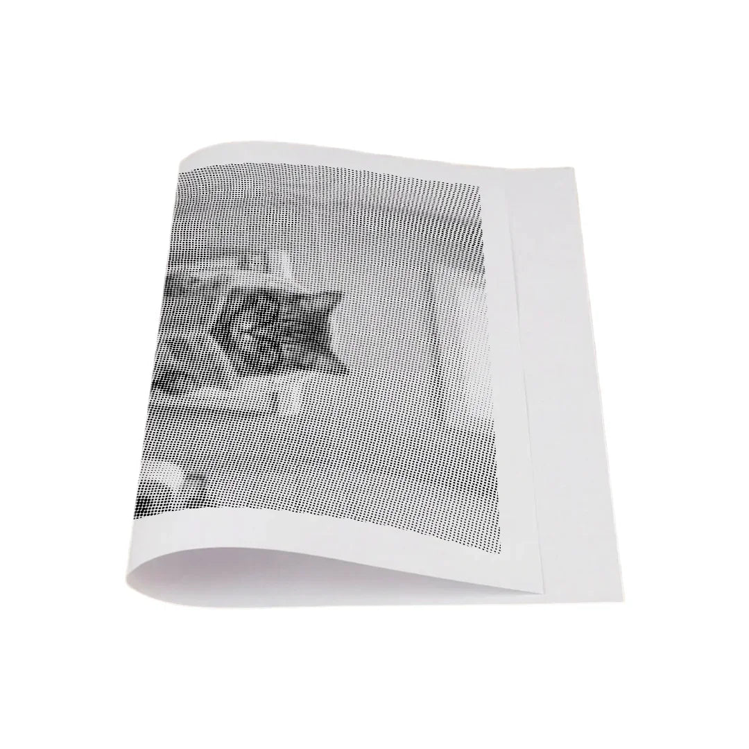 Gatto sulla pittura del punto della toilette