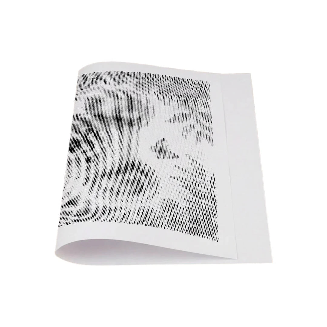 Koala con pittura a punti di fiori