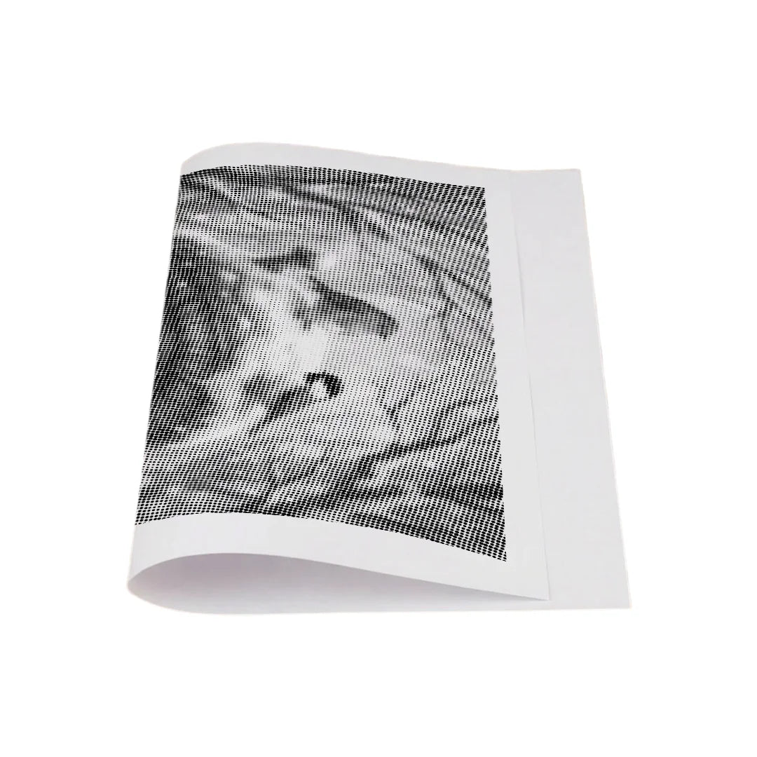 Gattino e uccelli nella pittura a pois di neve