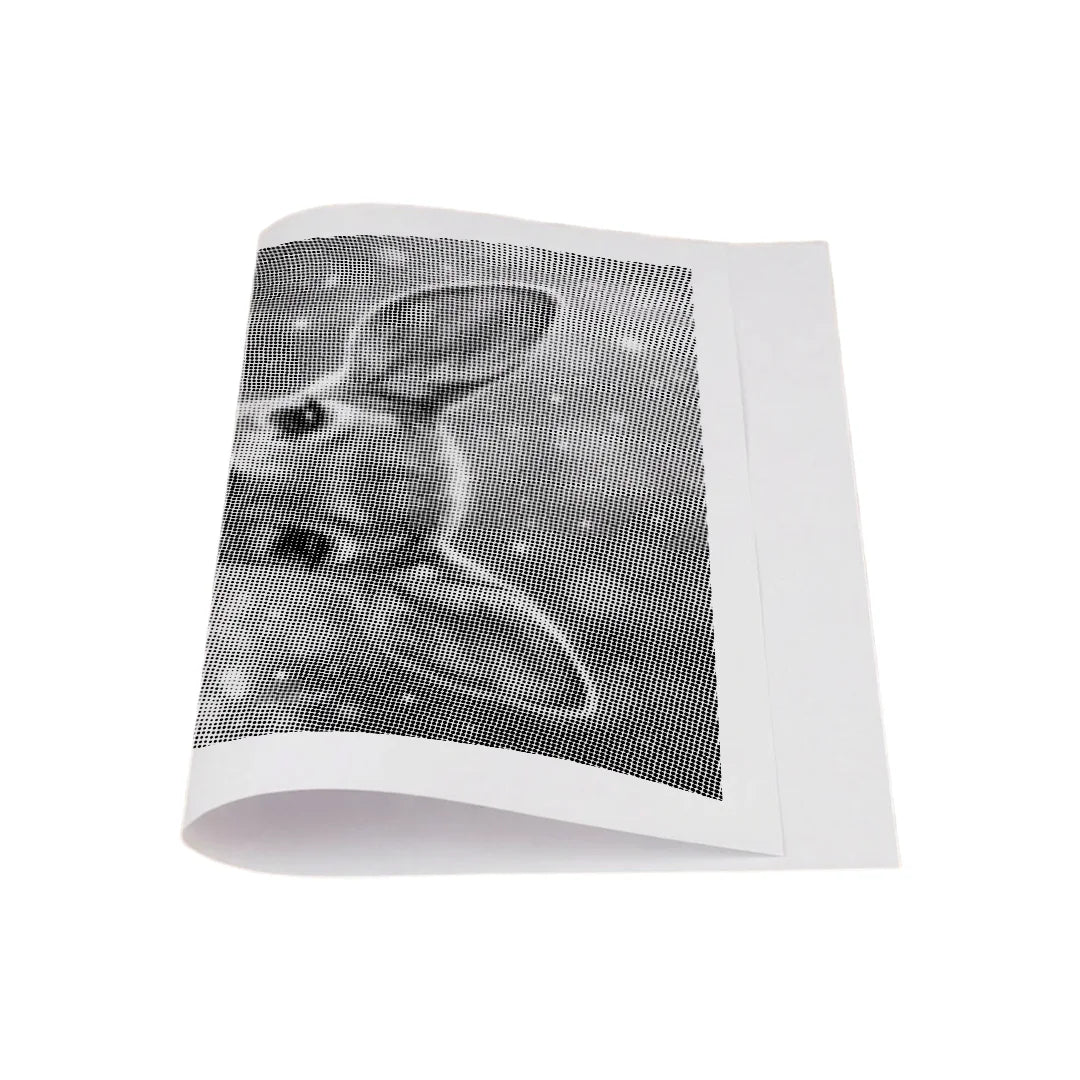 Cervo con fiori Dot Painting