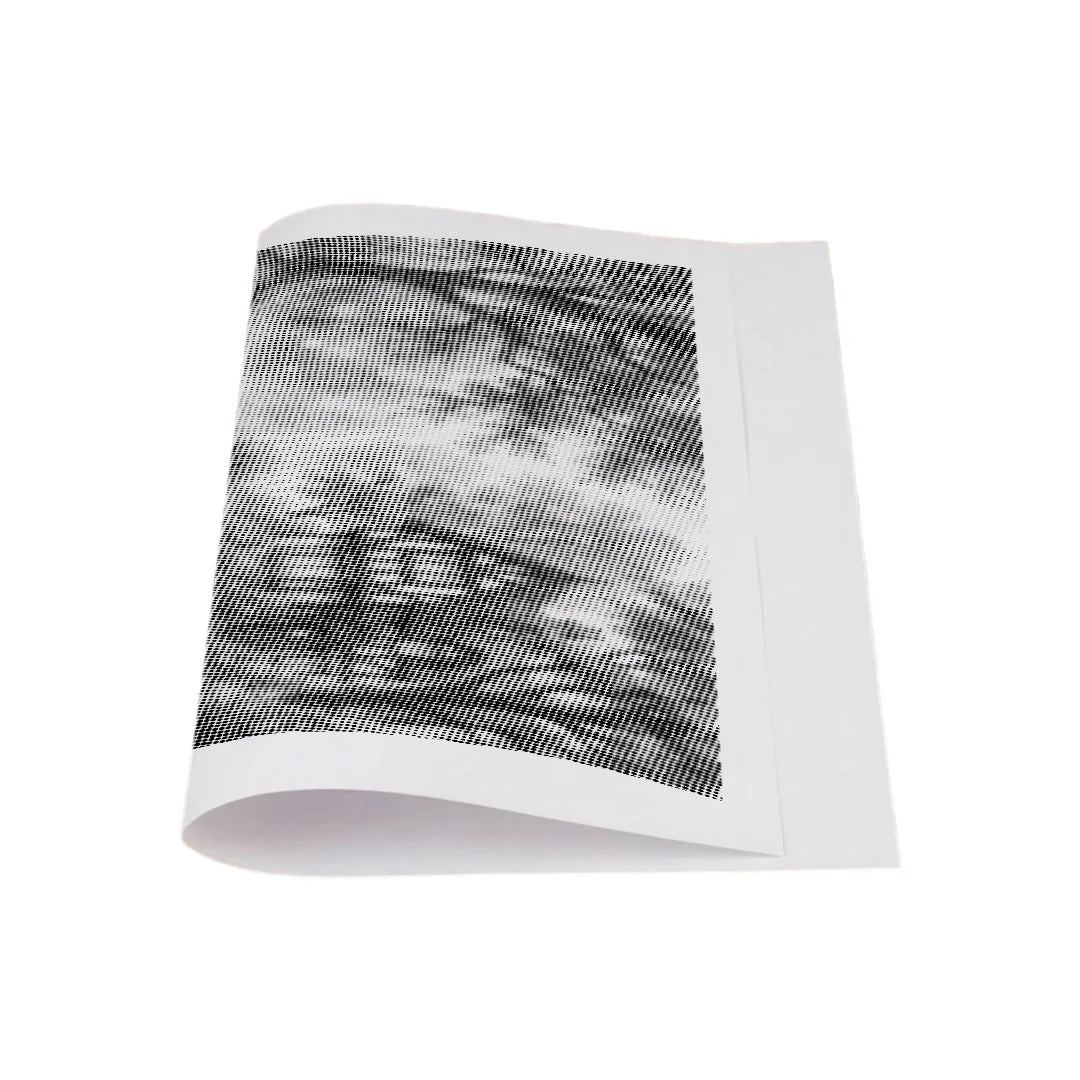 Pittura a punti del Lago dei Cigni