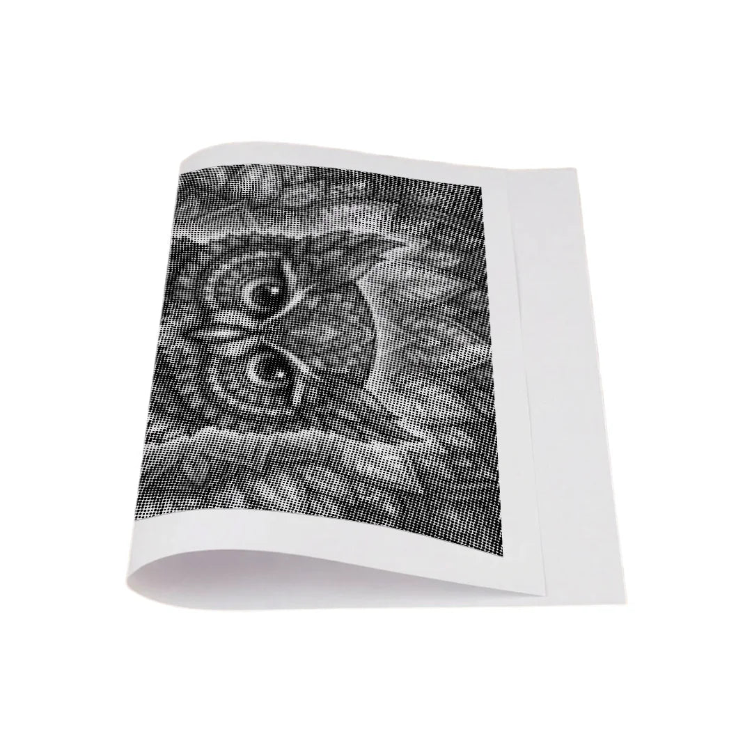 Gufo Mandala 2 punti pittura