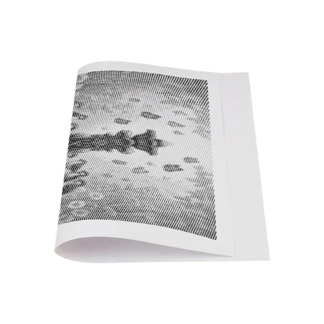 Uccelli alla fontana Dot Painting