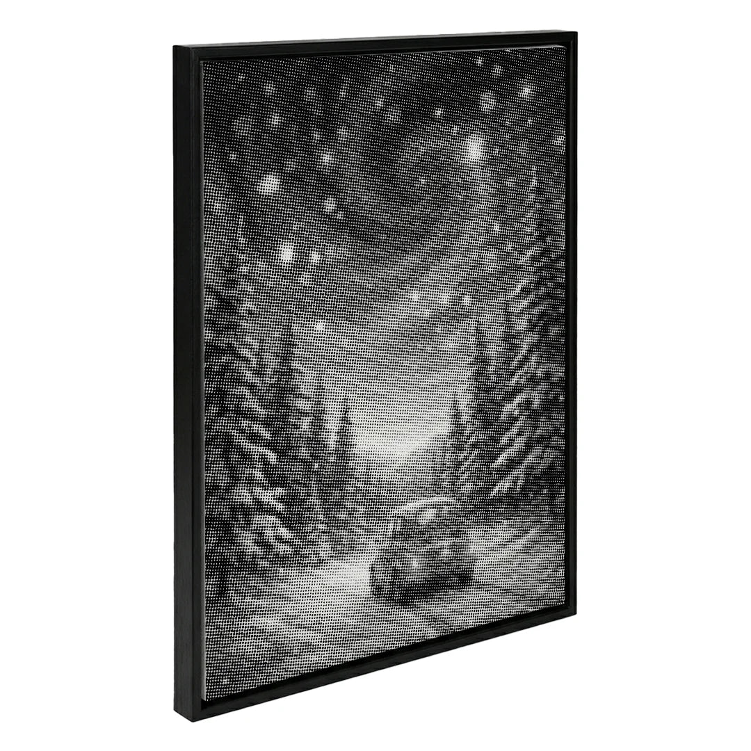 Magica pittura a punti della notte invernale