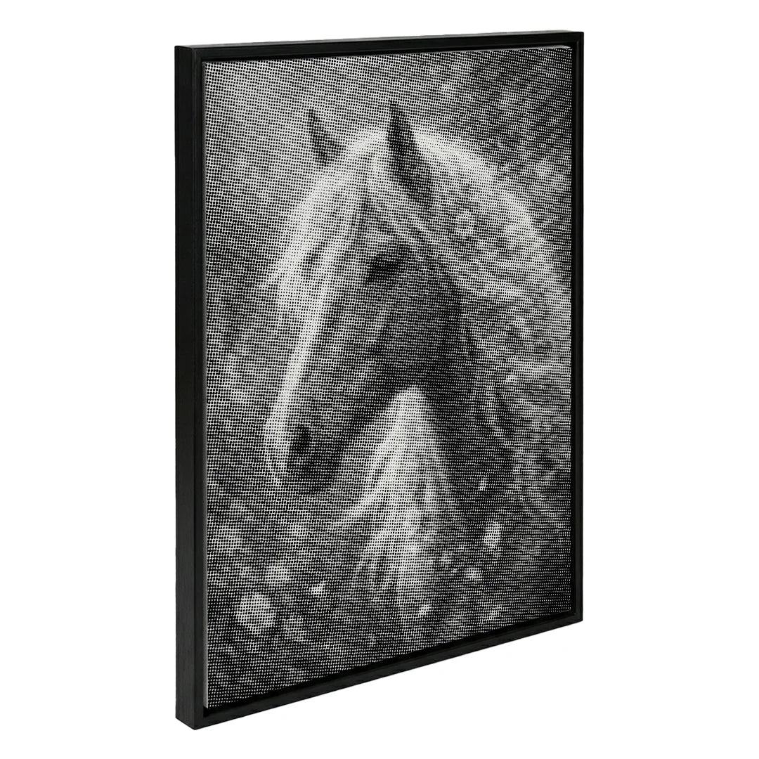 Cavallo con pittura a punti di fiori