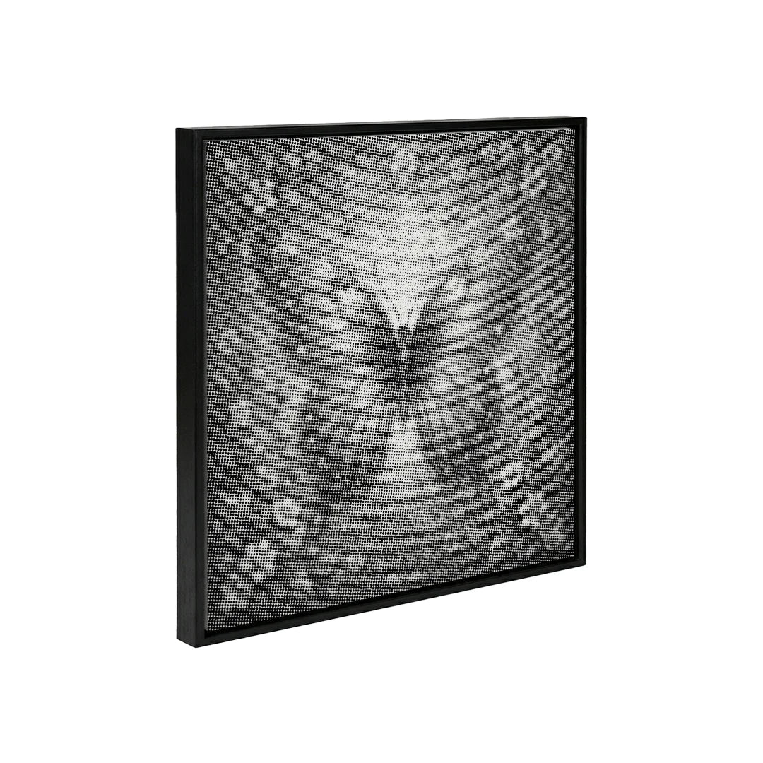 Pittura a punti di farfalla 3D