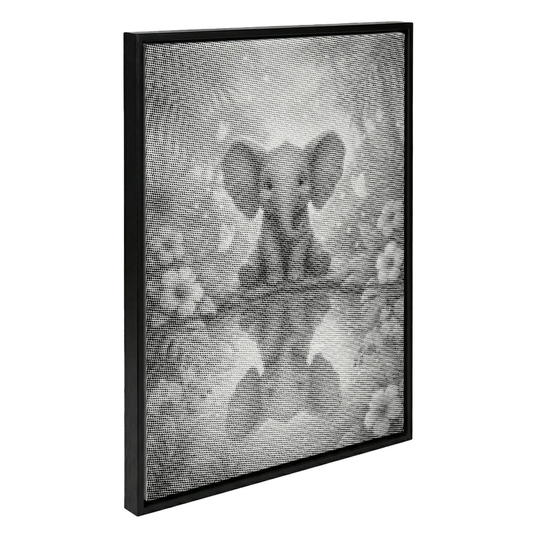 Pittura a punti con riflessione di elefante