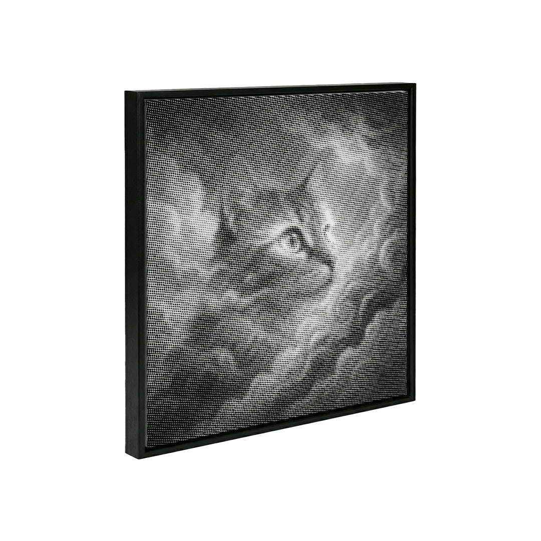 Pittura a punti Cloudcat