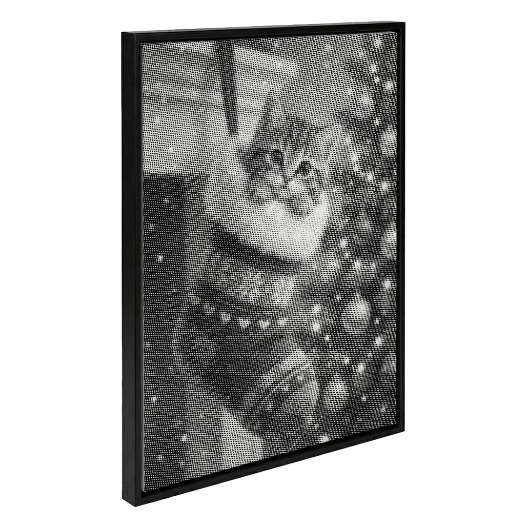 Gattino in un dipinto a pois di un calzino di Natale