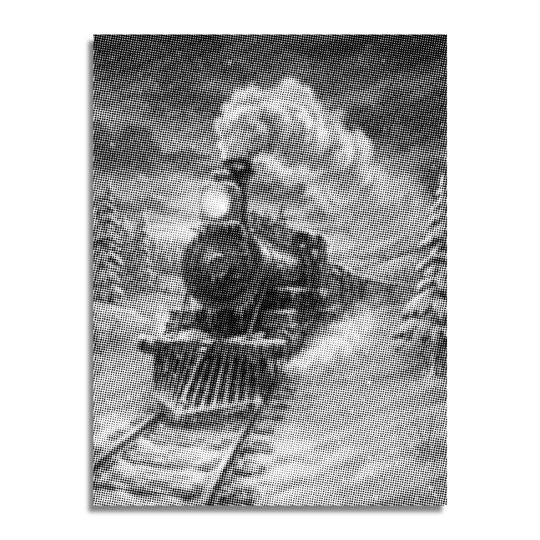 Pittura a punti Polar Express