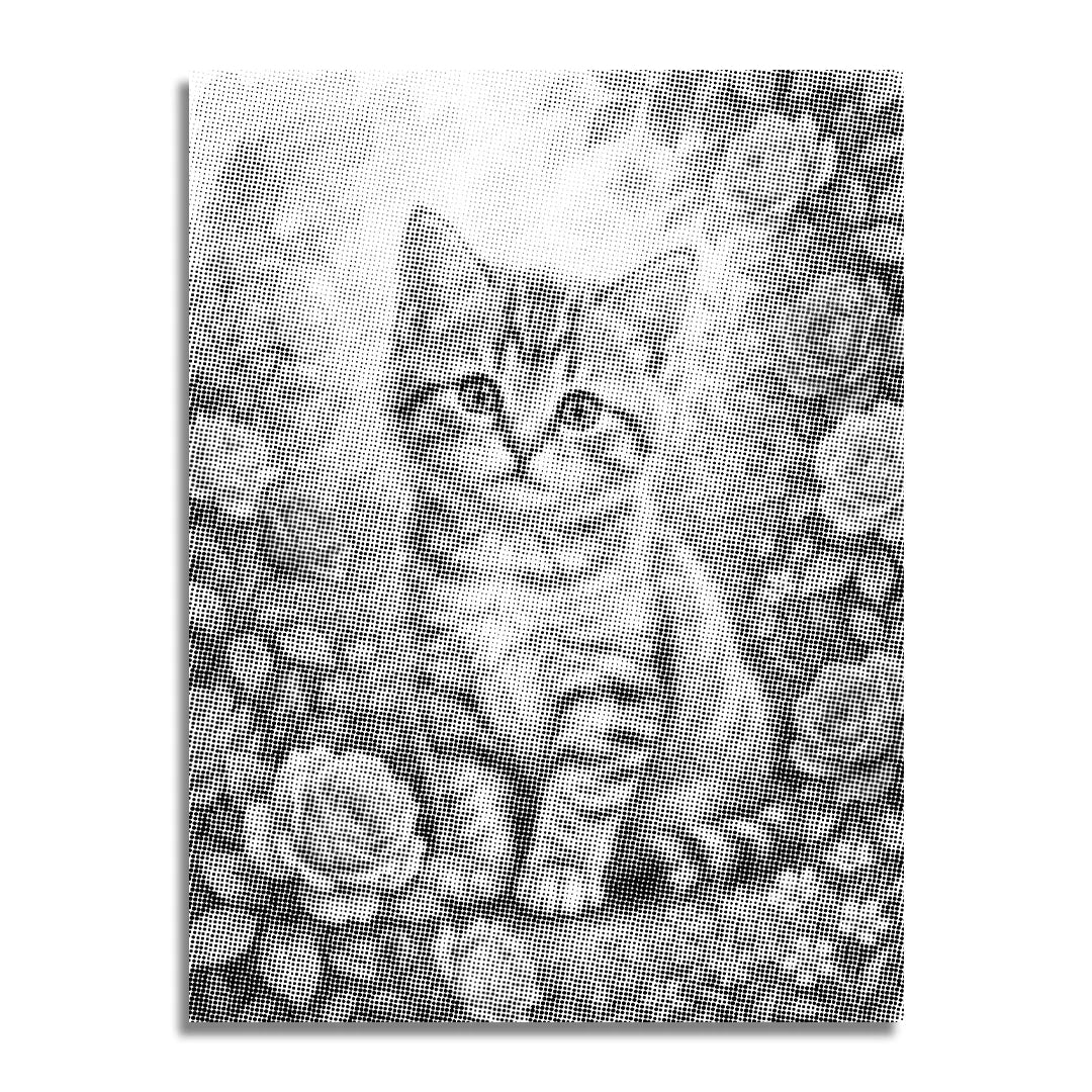 Gatto con pittura a punti di fiori
