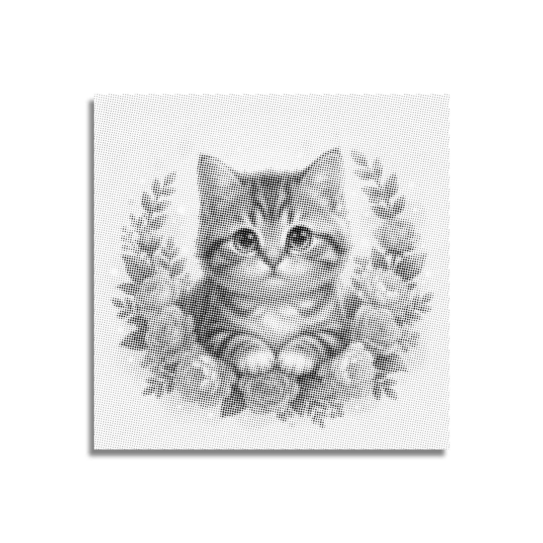 Gatto con fiori 2 punti pittura