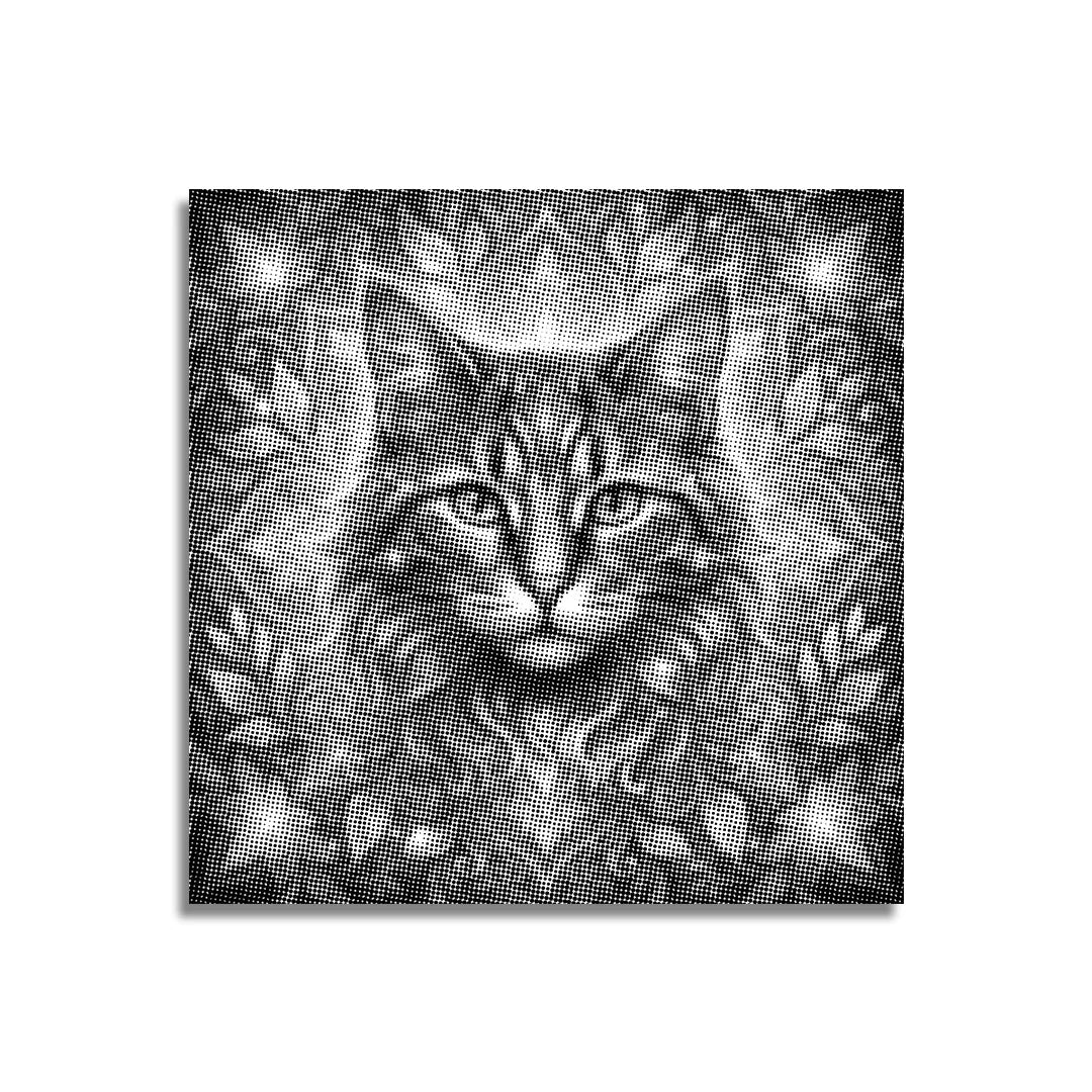 Gatto con pittura a punti di fiori