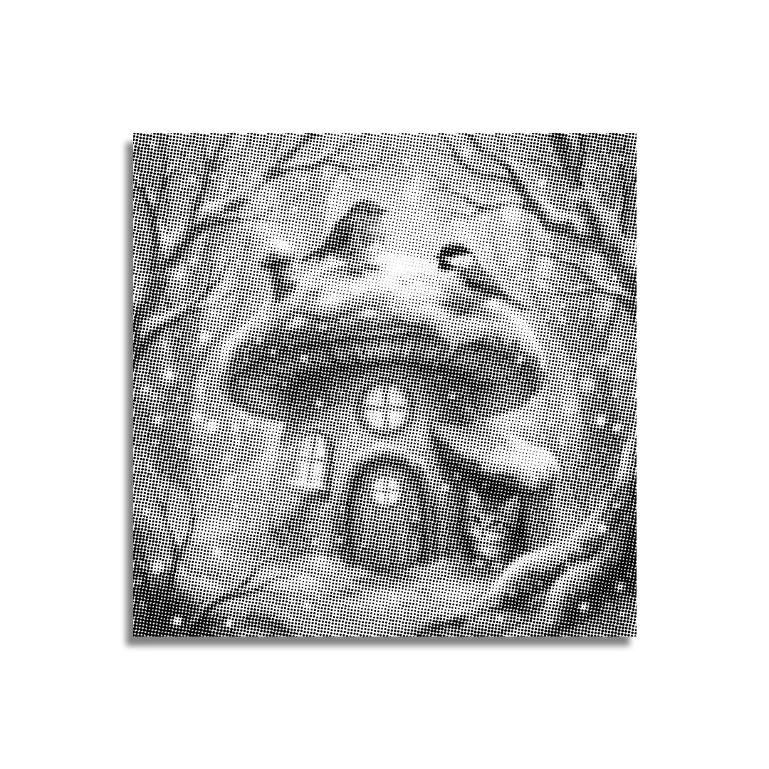 Gattino e uccelli nella pittura a pois di neve