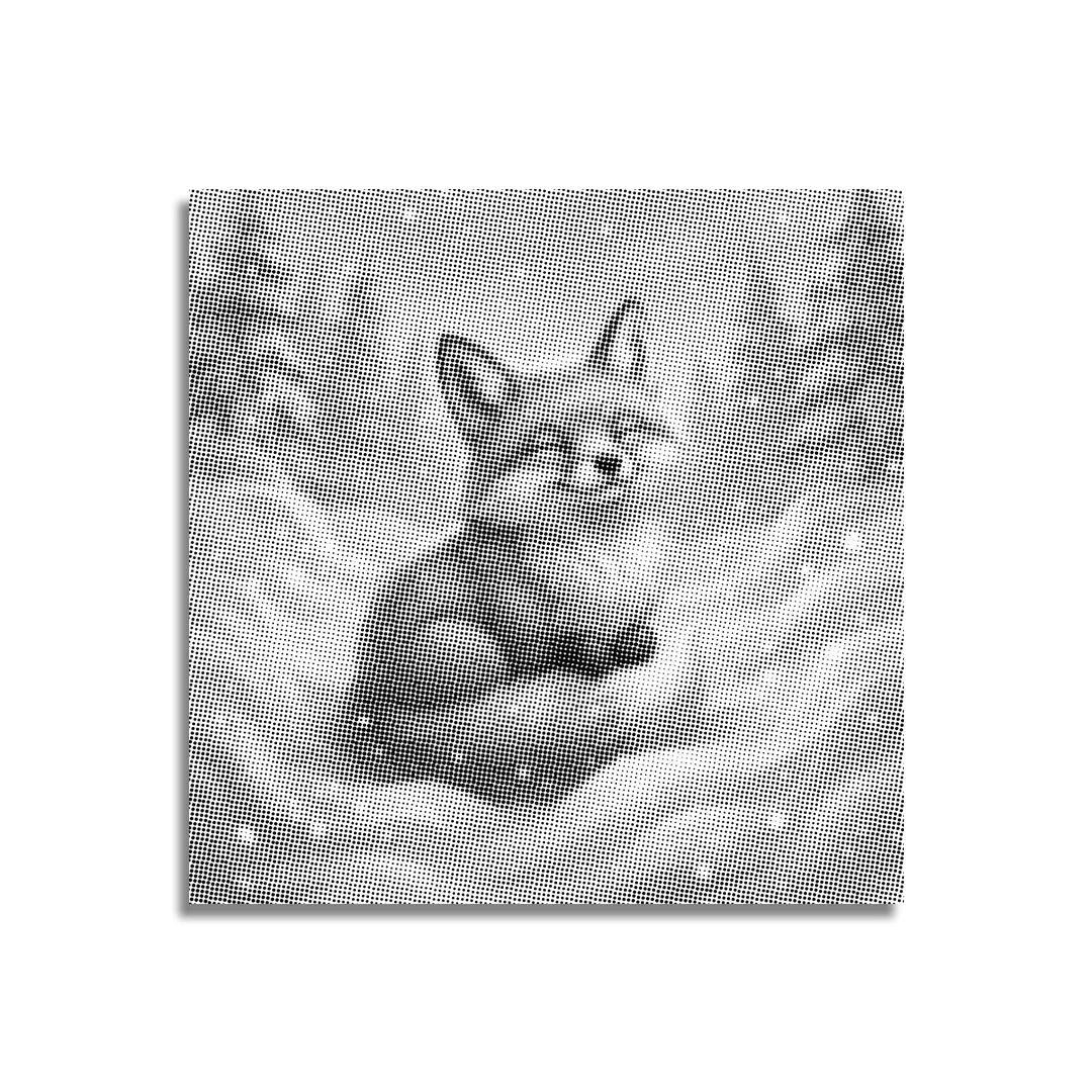 Volpe che gioca nella neve Dipinto a punti