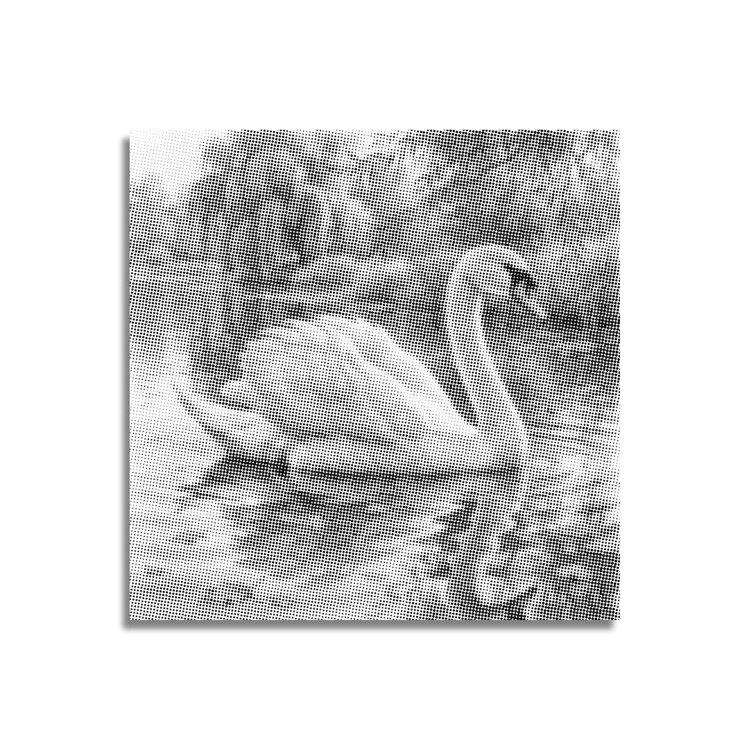 Pittura a punti di cigno