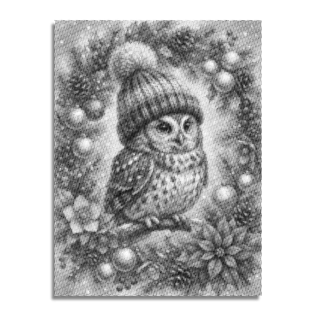 Gufo di Natale nell'albero Dot Painting