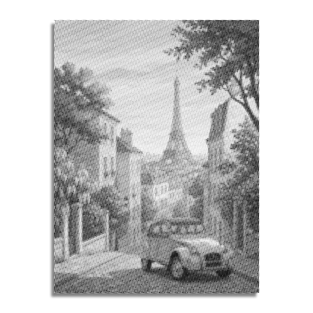 Vecchio scarabeo nella pittura a punti di Parigi