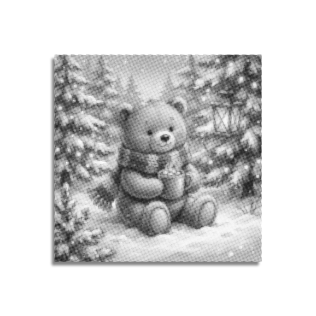 Pittura a punti dell'orso invernale