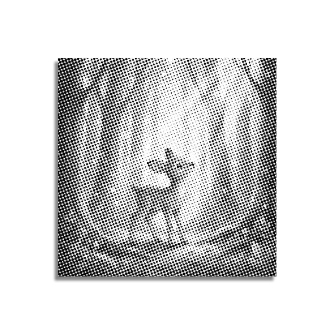 Cervo nel bosco Dot Painting