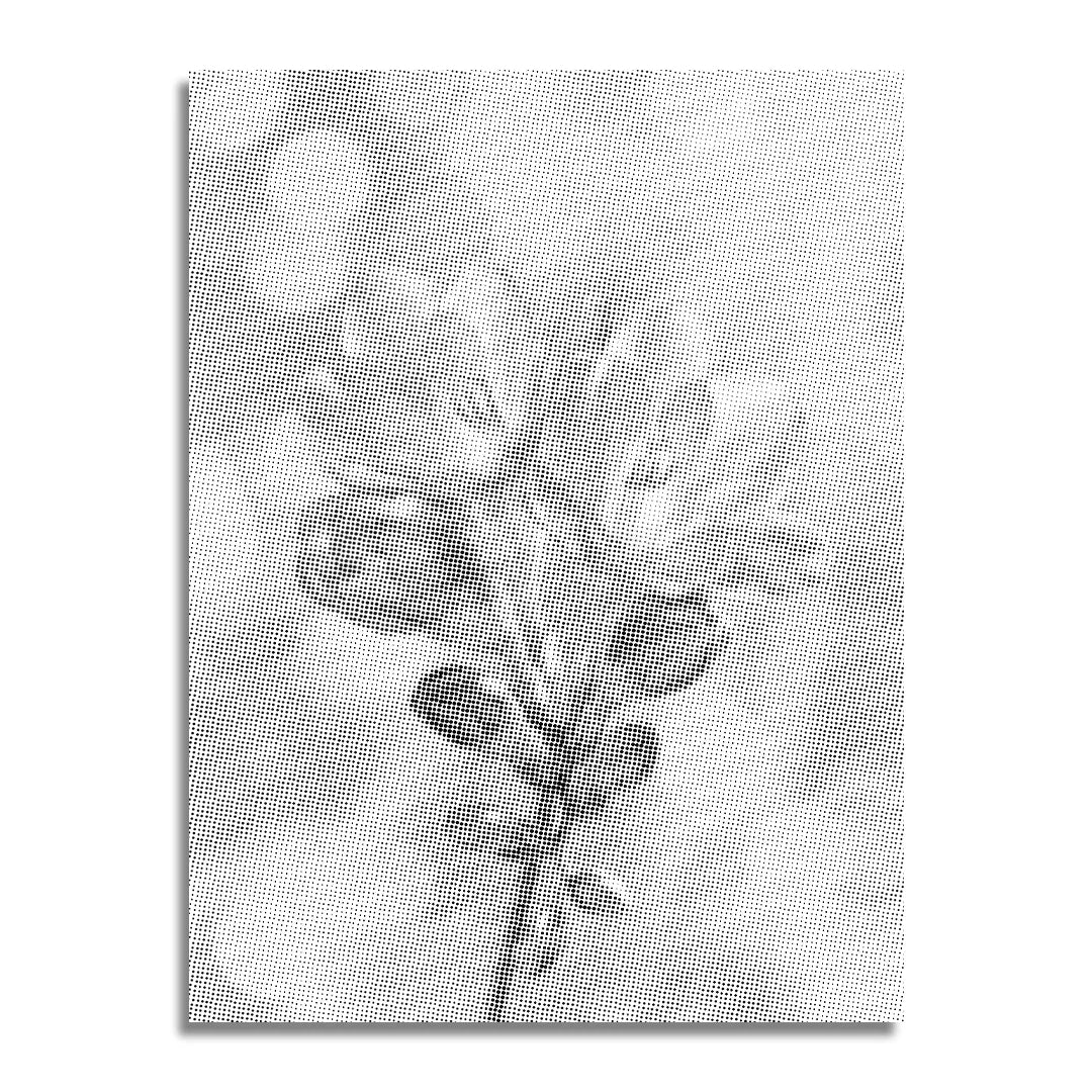 Fiore in aumento Dot Painting