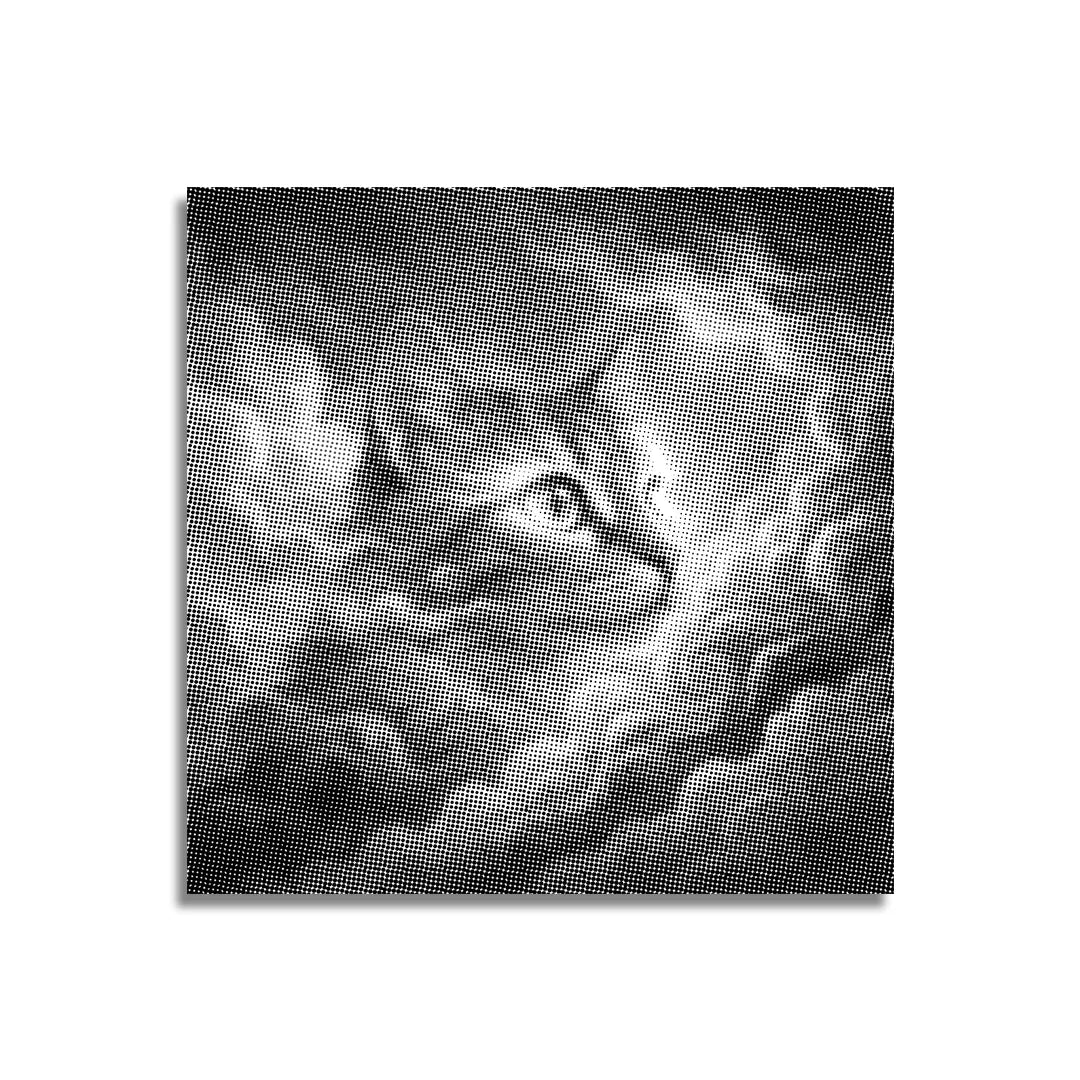Pittura a punti Cloudcat