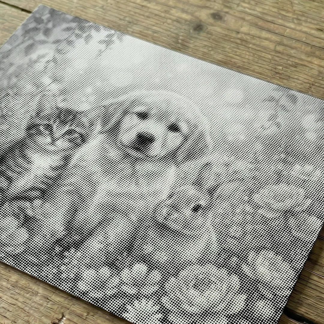 Pittura a pois di gatto, cane e coniglietto