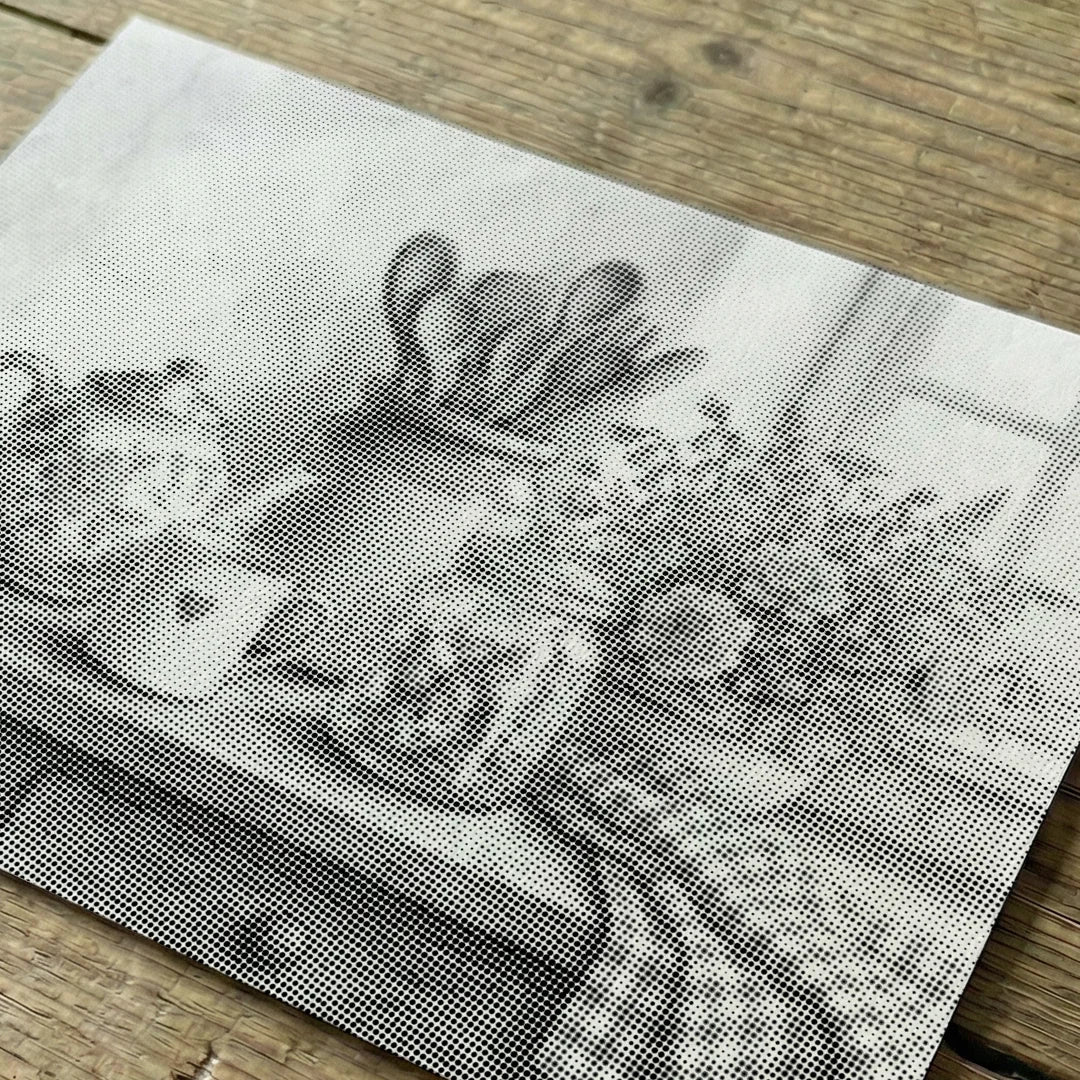 Cucina Still Life Dot Painting