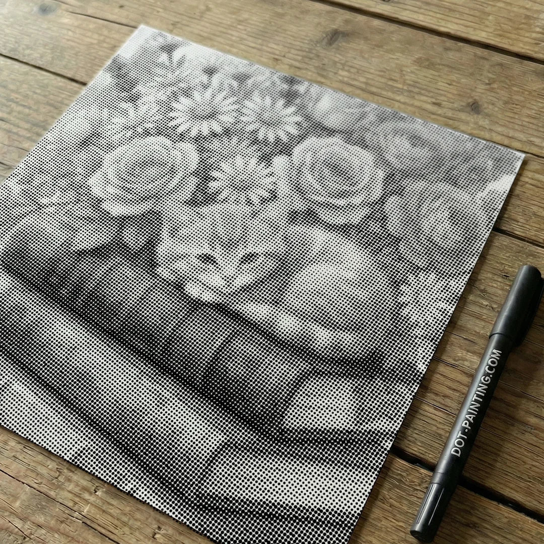 Gatto su un libro Punto dipinto