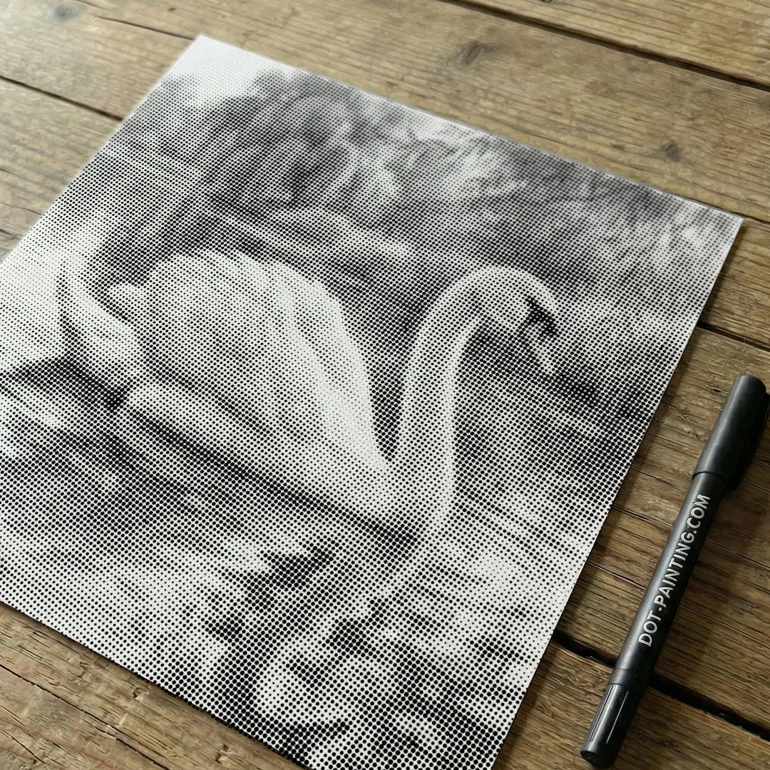 Pittura a punti di cigno