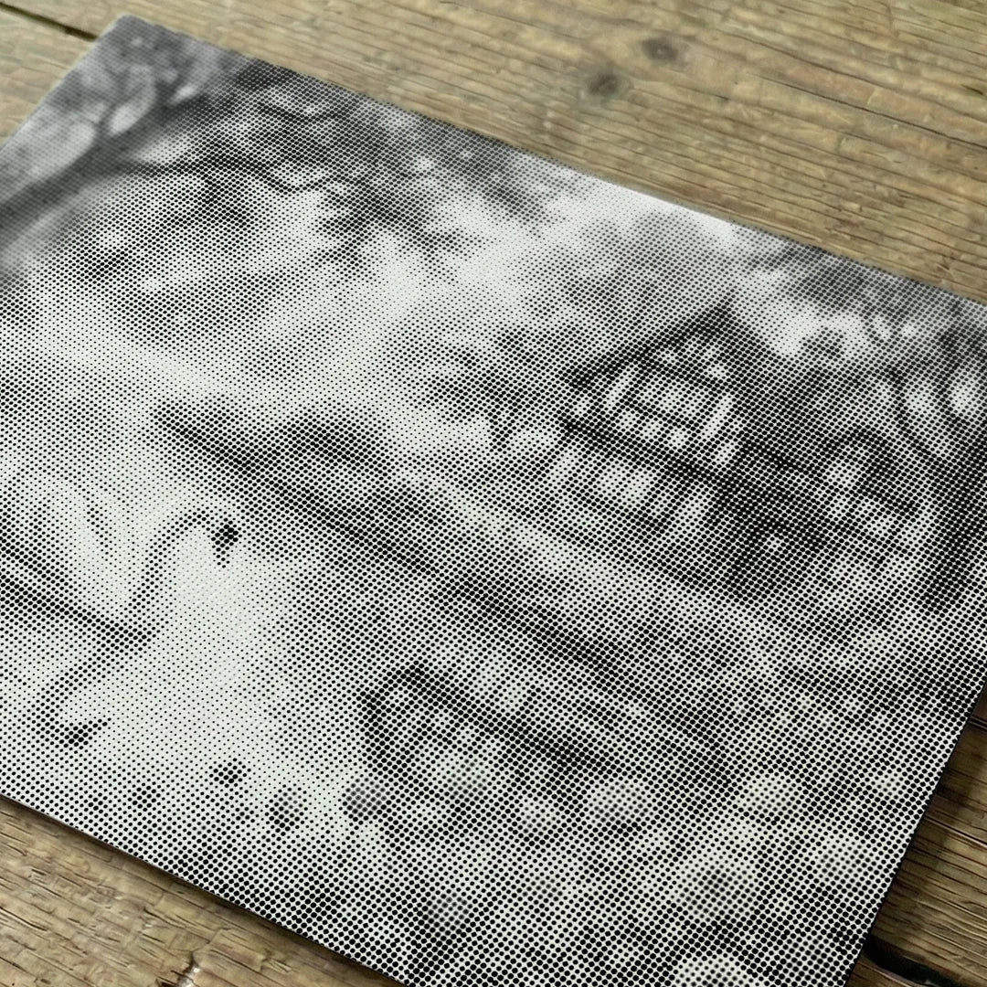 Pittura a punti del Lago dei Cigni