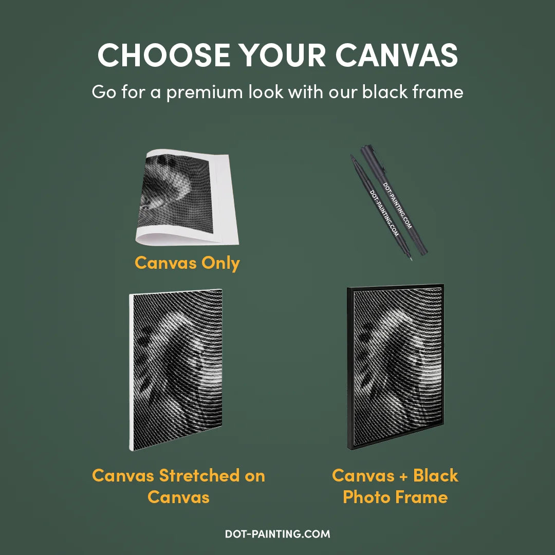 Pittura indiana a punti