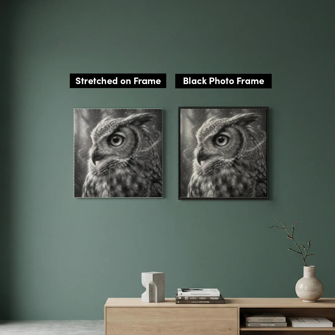 Gufo 4 punti pittura