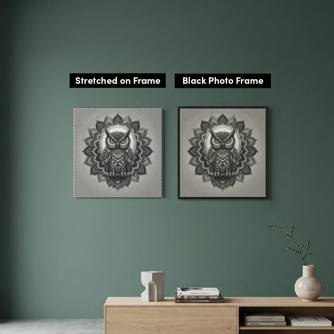 Gufo Mandala 3 punti pittura