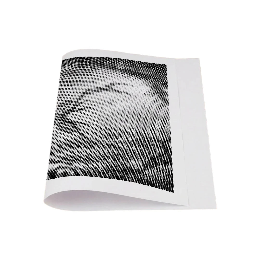 Kit dot painting Lupo