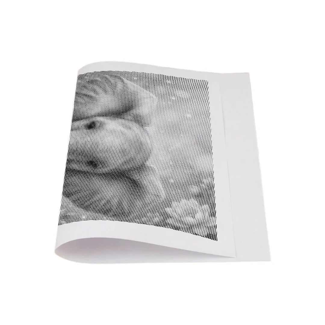 Kit dot painting Lupo