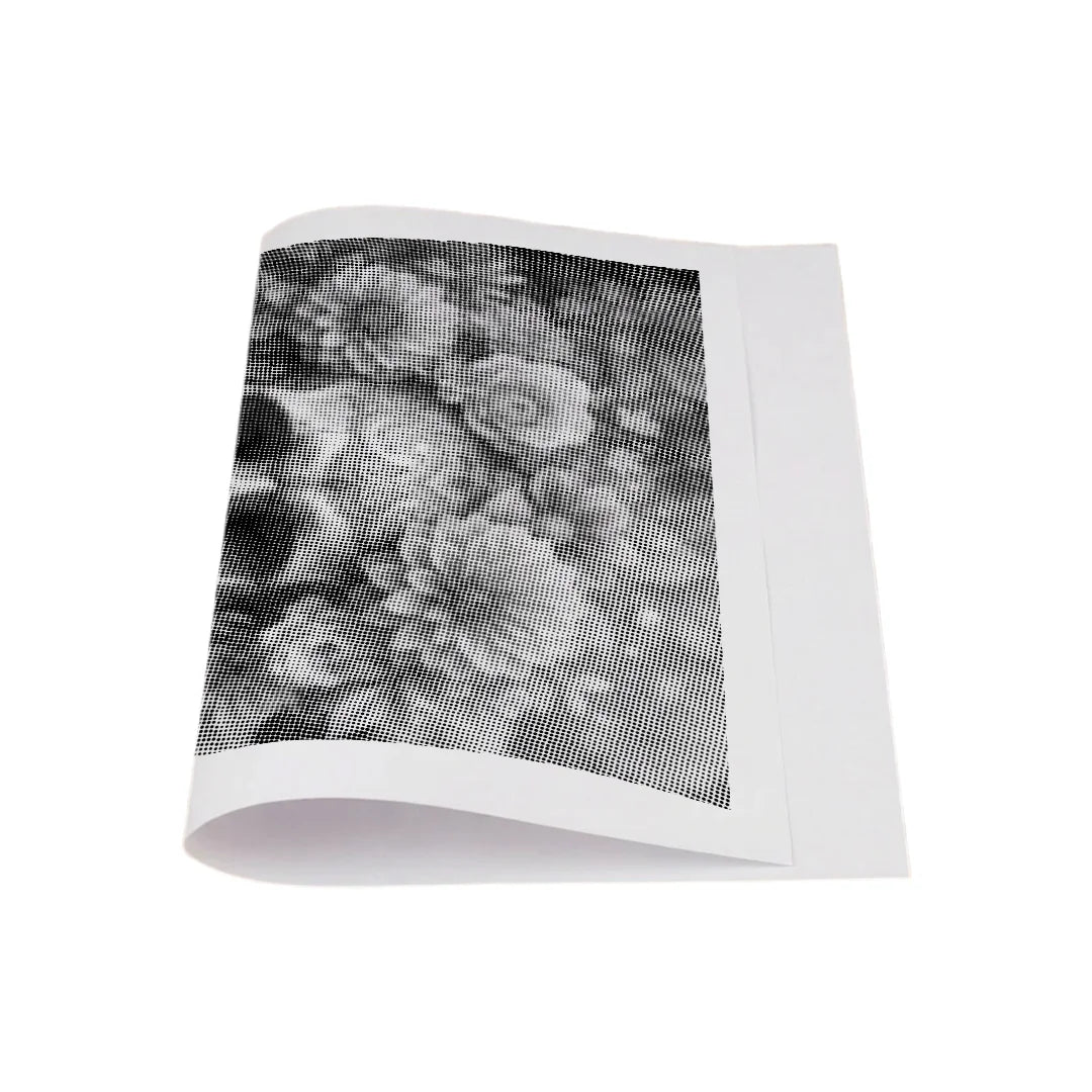 Kit dot painting Lupo