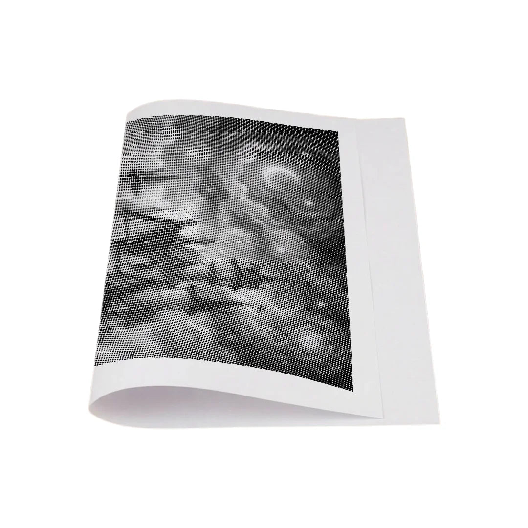 Kit dot painting Lupo