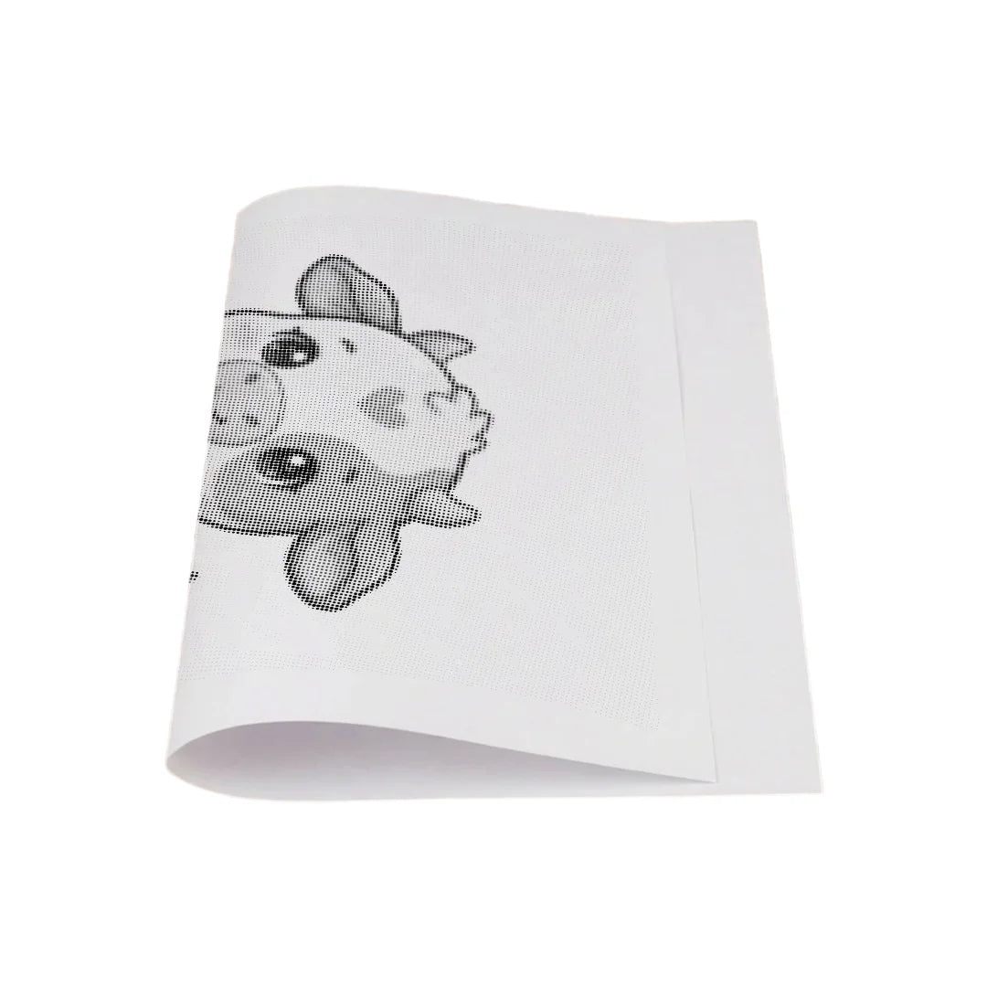 Kit dot painting Lupo