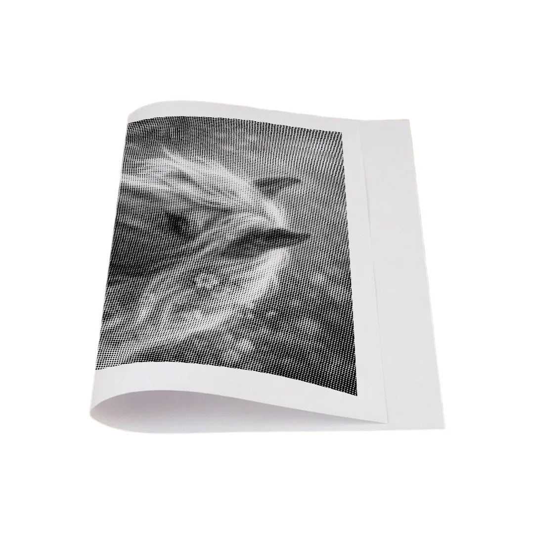 Kit dot painting Lupo