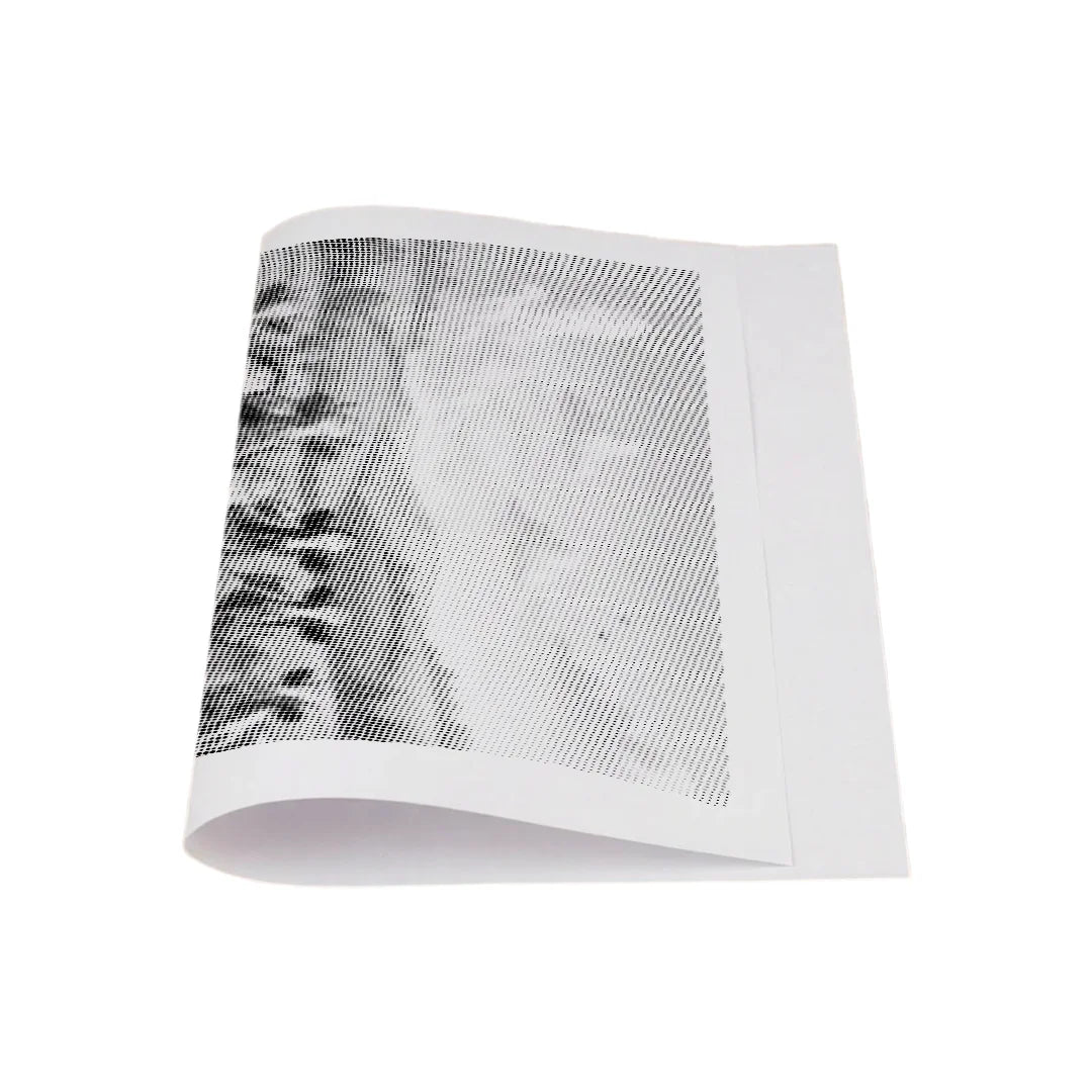 Kit dot painting Lupo